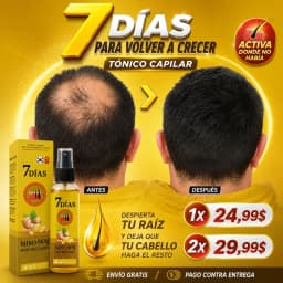 Vista 5